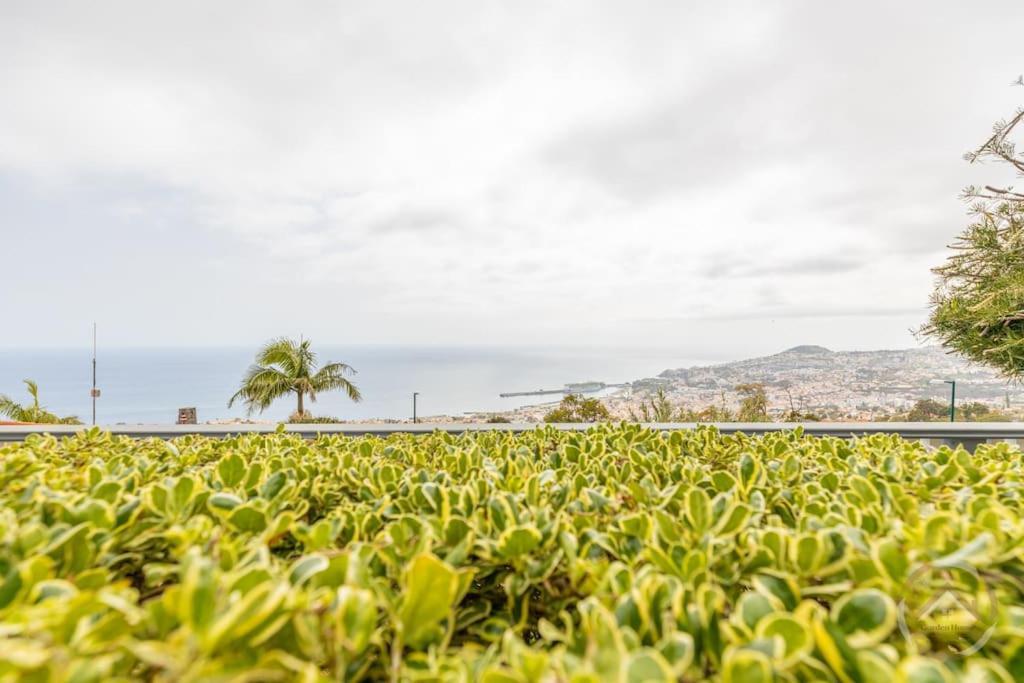 Villa Garden House Funchal  Exterior foto